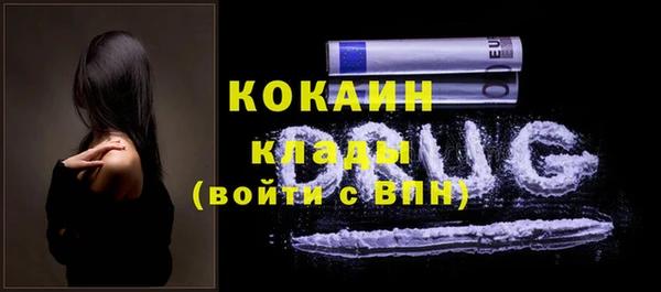 ГАЛЛЮЦИНОГЕННЫЕ ГРИБЫ Абаза