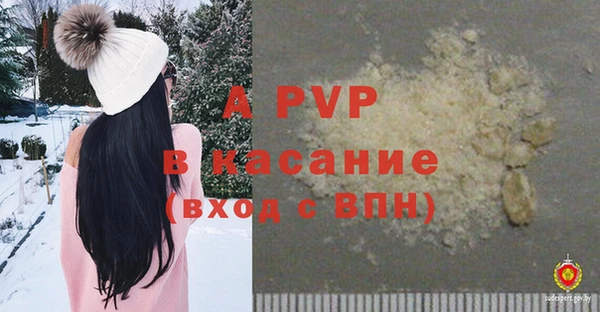 ГАЛЛЮЦИНОГЕННЫЕ ГРИБЫ Абаза