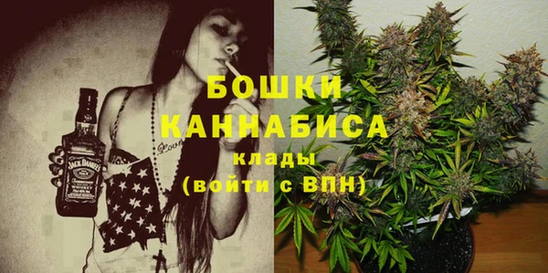 ГАЛЛЮЦИНОГЕННЫЕ ГРИБЫ Абаза