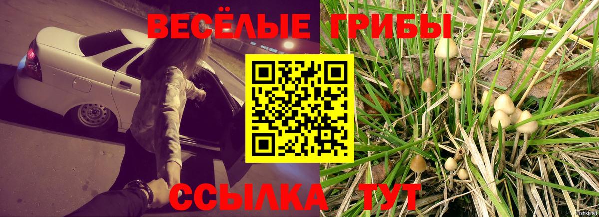 Галлюциногенные грибы MAGIC MUSHROOMS Грозный