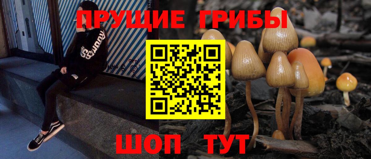 Псилоцибиновые грибы Magic Shrooms  Галлюциногенные грибы GOLDEN TEACHER  Грозный  Вход с VPN 